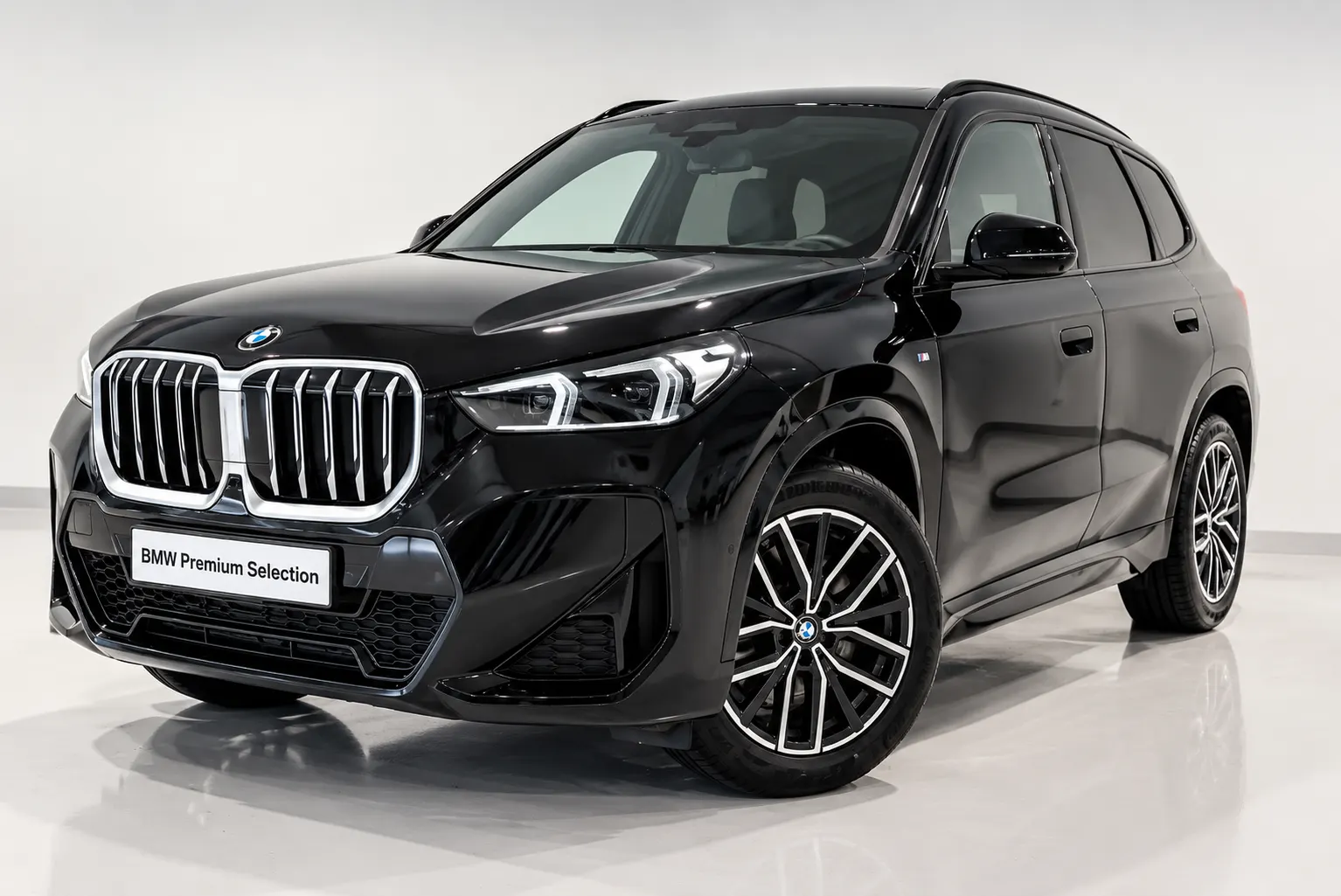 BMW X1 xDrive23d 197 CP Steptronic M Sport – foto 1